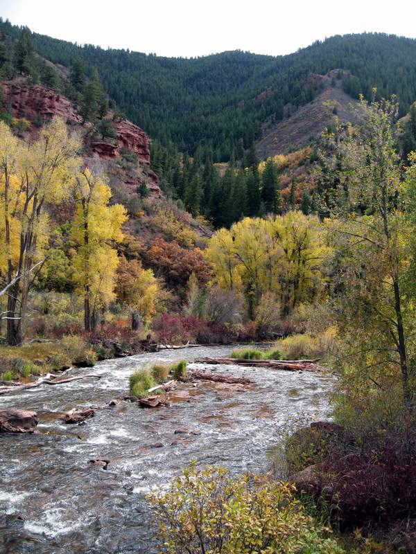 The Frying Pan River Near Basalt Colorado - October 7th 2007