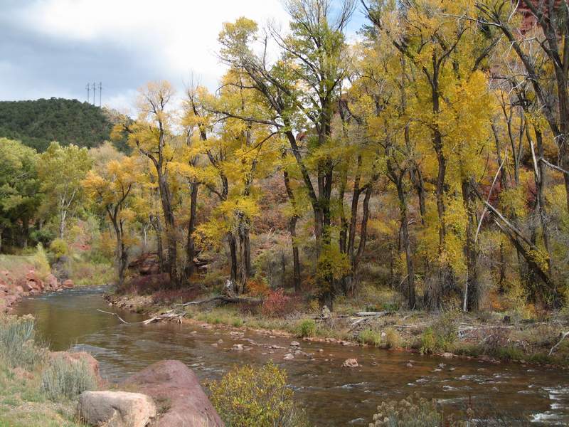Fall Colors On The Frying Pan River - Colorado - October 7th 2007