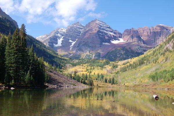 Aspen At Night #1